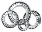 Full Complement Cylindrical Roller Bearing