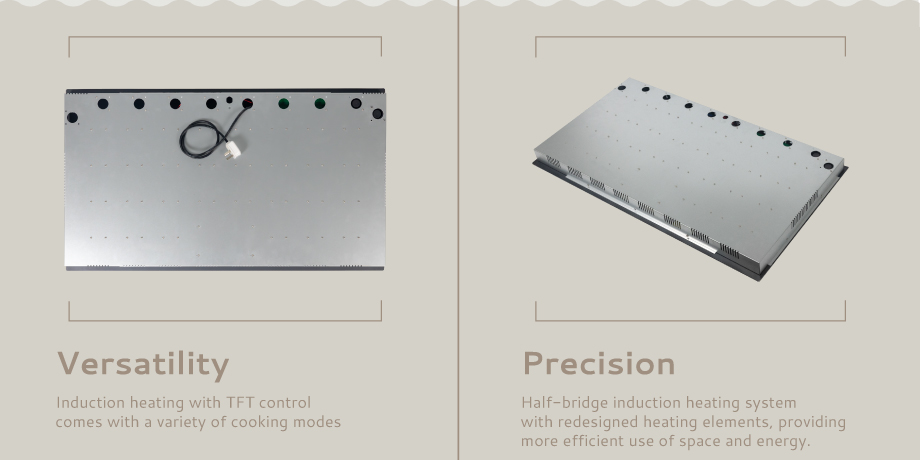 Induction cooktop internal heating system view