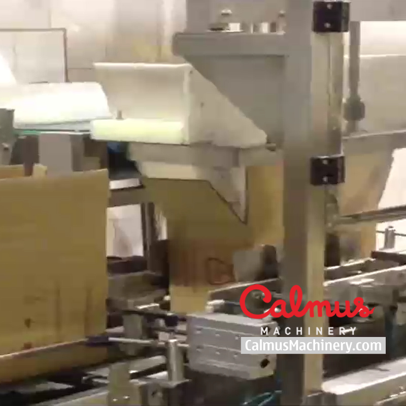Fully-automatic Bag in Box Filling Packaging Line - Image 2