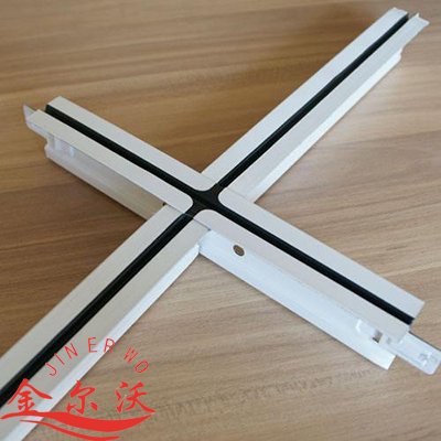 Suspended Ceiling T-Grid Framing System with Black Line