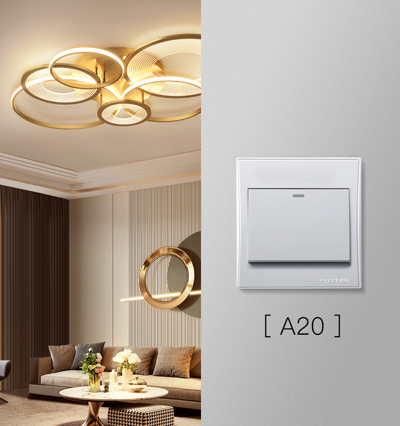 Single-gang A20 light switch
