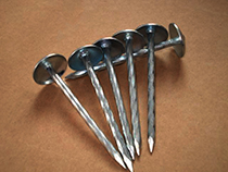 Galvanized Roofing Nail with Polished Surface - Image 3