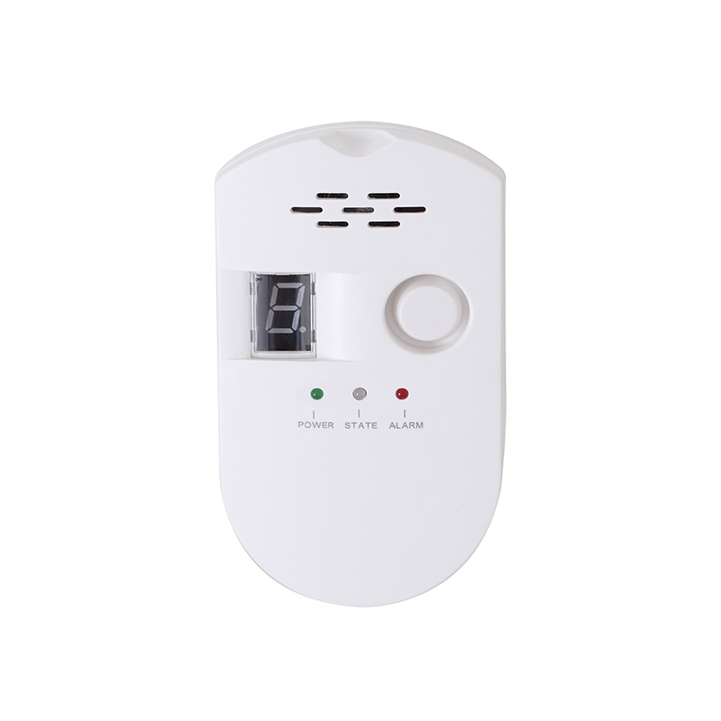 Gas Alarm - Image 3
