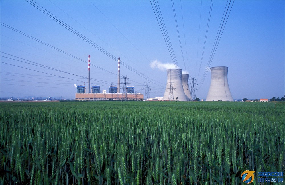 Gas Power Generator