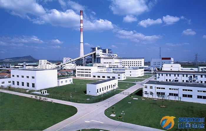 Gas Power Generator