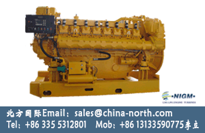 gas generator,dual fuel gas generator,diesel generator - Image 3
