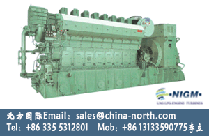 Gas and Diesel Generator