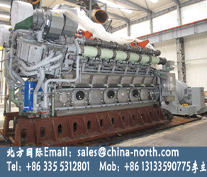 gas generator,dual fuel gas generator,natural gas generator - Image 4