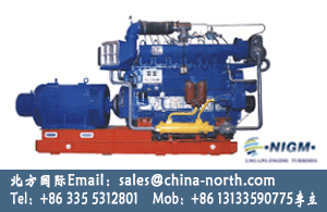 gas generator,dual fuel gas generator,natural gas generator - Image 3