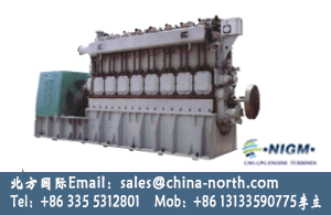 Dual Fuel Natural Gas Generator