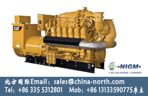 gas generator,gas engine,dual fuel gas generator,biogas generator - Image 2