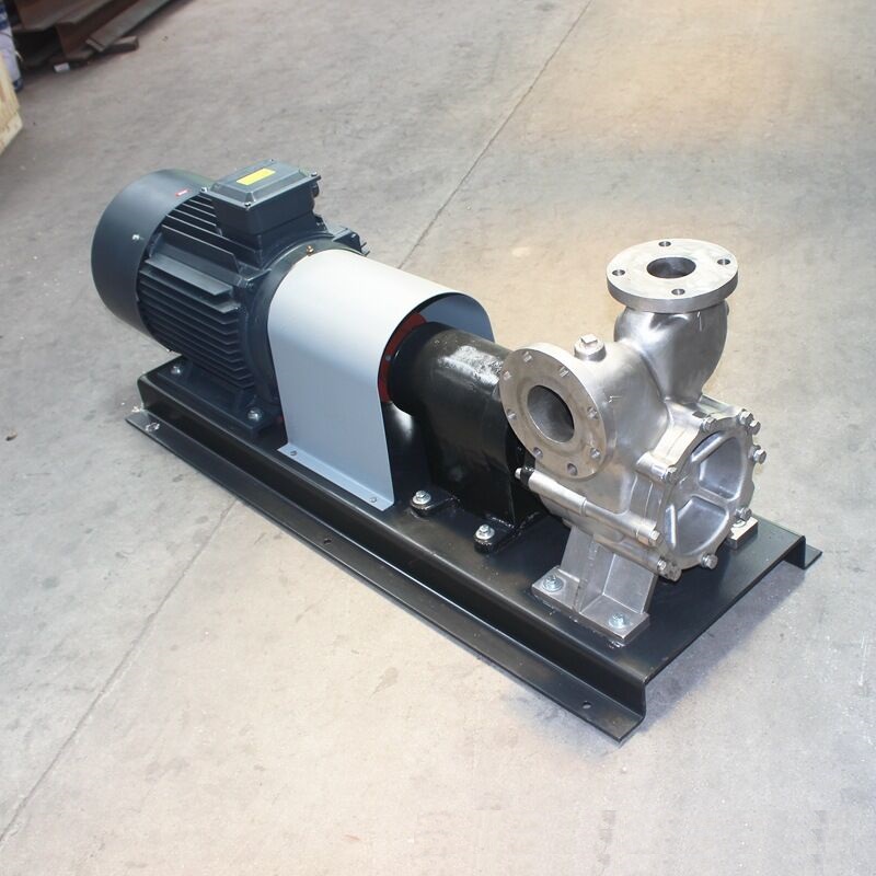 Gas-Liquid Mixing Pump for DAF and Microbubble Generation