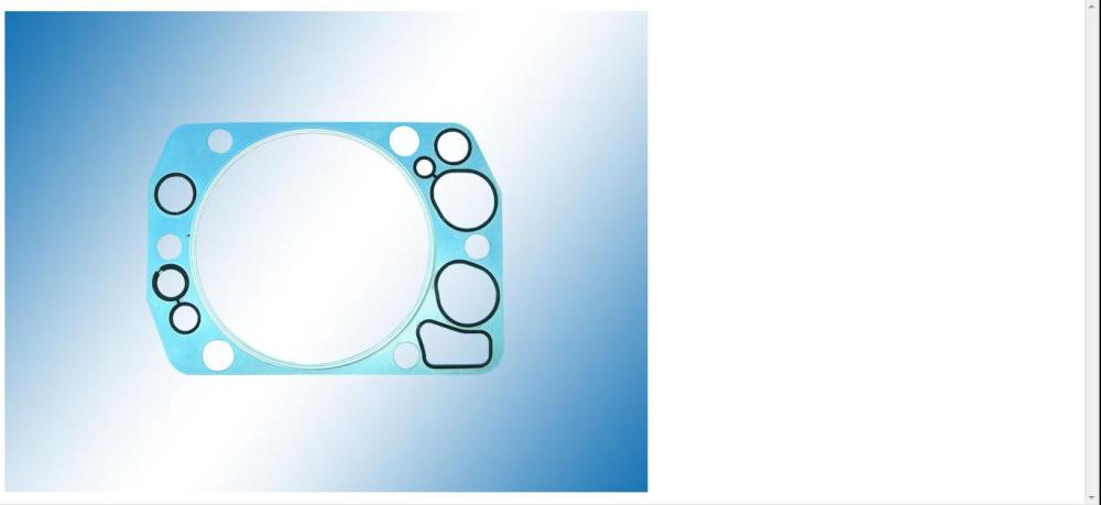 Engine Cylinder Head Gasket for Benz OM366