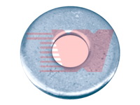 Circular Flat Washer