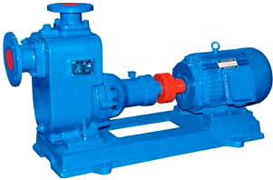 Electric Motor Coupled Centrifugal Pump