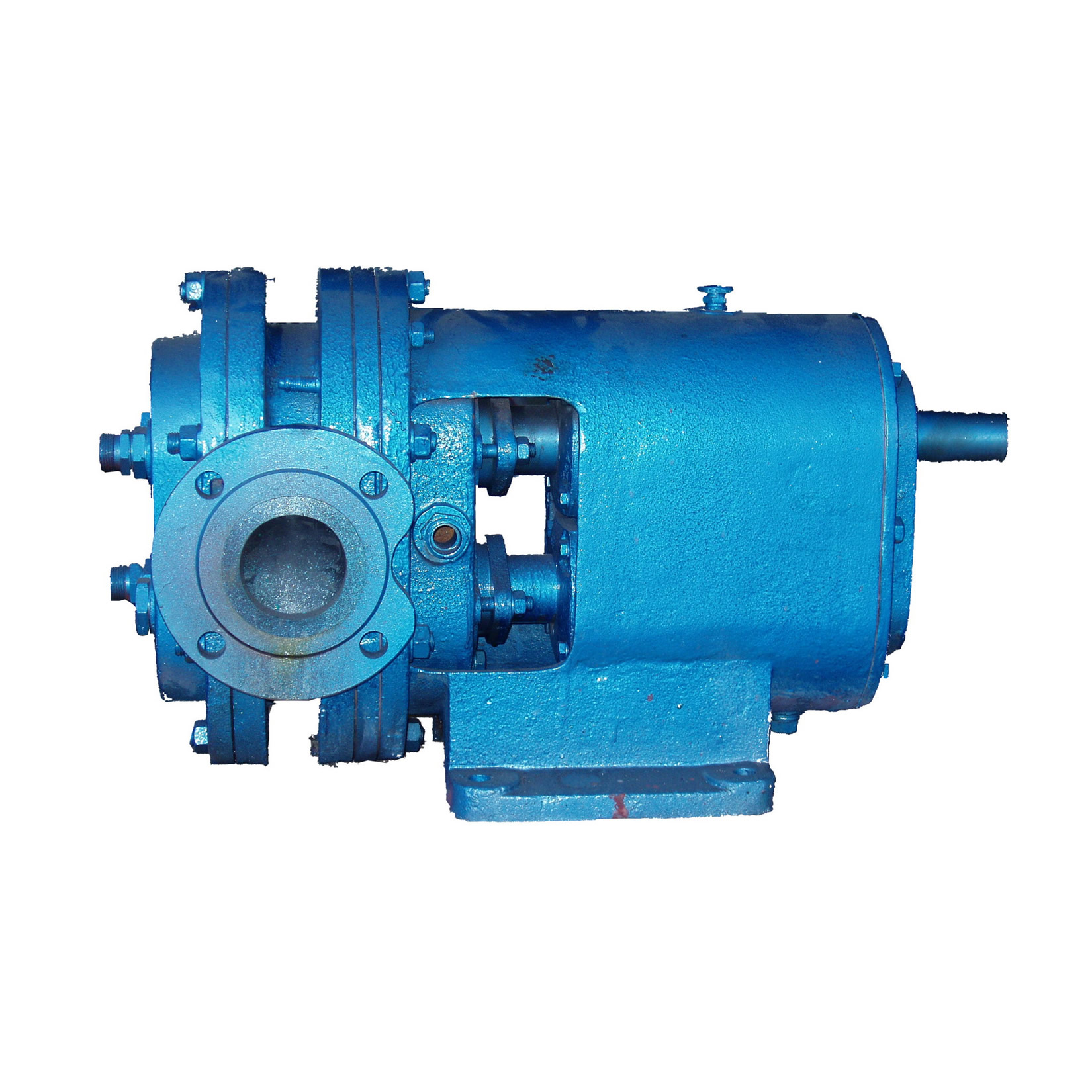 Gasoline Transfer Pump