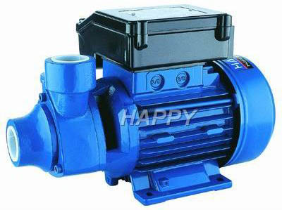 Electric Water Transfer Pump