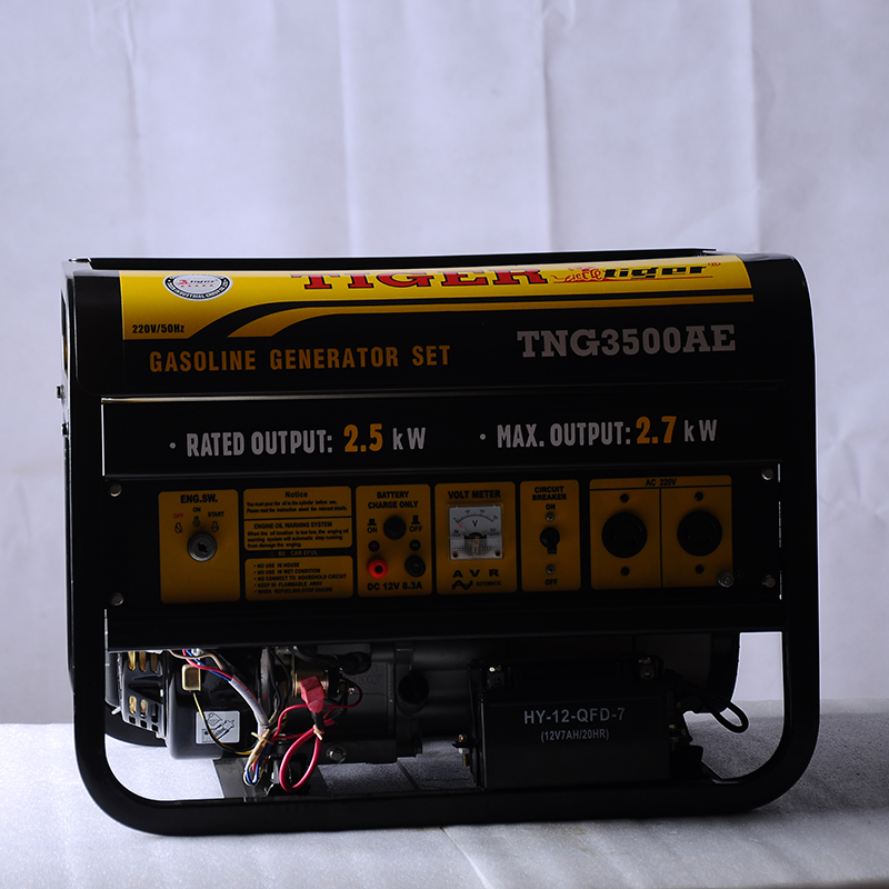 Gasoline generator sets - Image 2