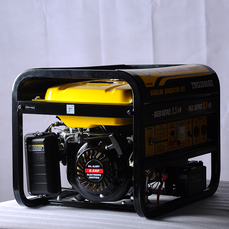 2.5 kW Gasoline Generator Set with AVR
