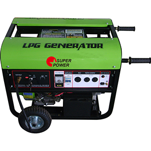 4800W Gasoline Generator with LPG Option