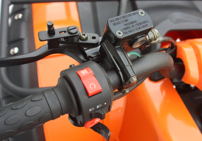 Gasoline Powered 4 Stroke Quad Bike ATV 200cc for adult - Image 3