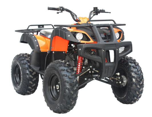 Gasoline Powered 4 Stroke Quad Bike ATV 200cc for adult - Image 2