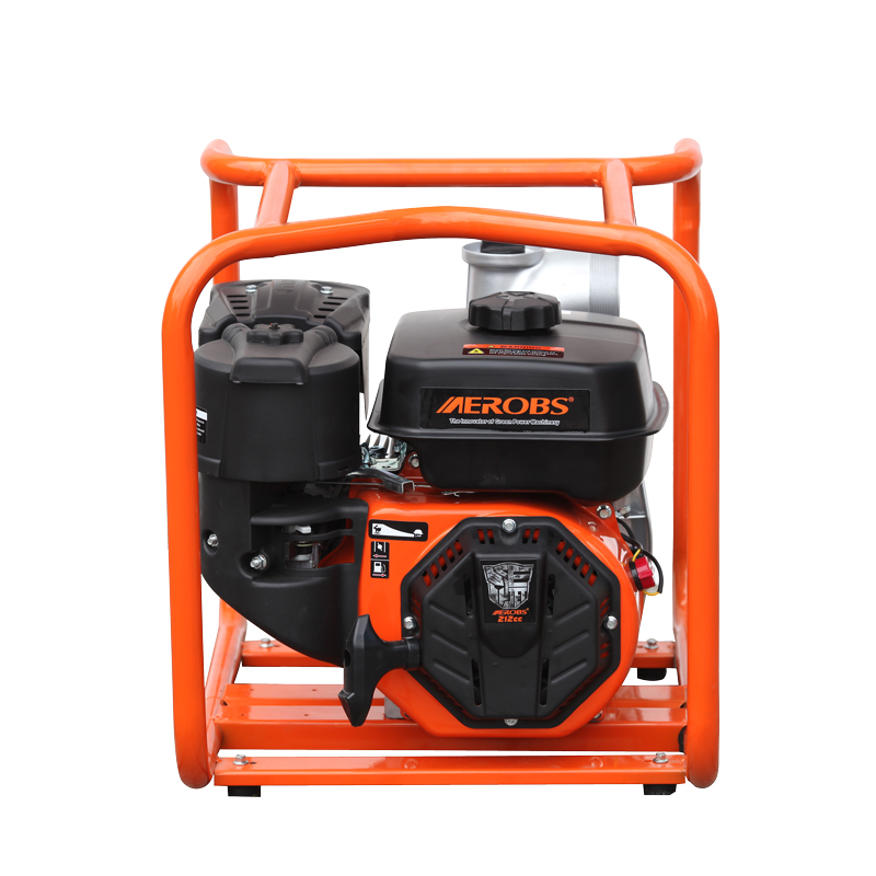 Gasoline/Petrol Water Pump-Bashan Wp30X - Image 3