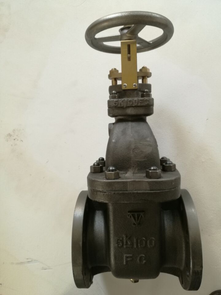 Industrial Gate Valve with Flanged Connections