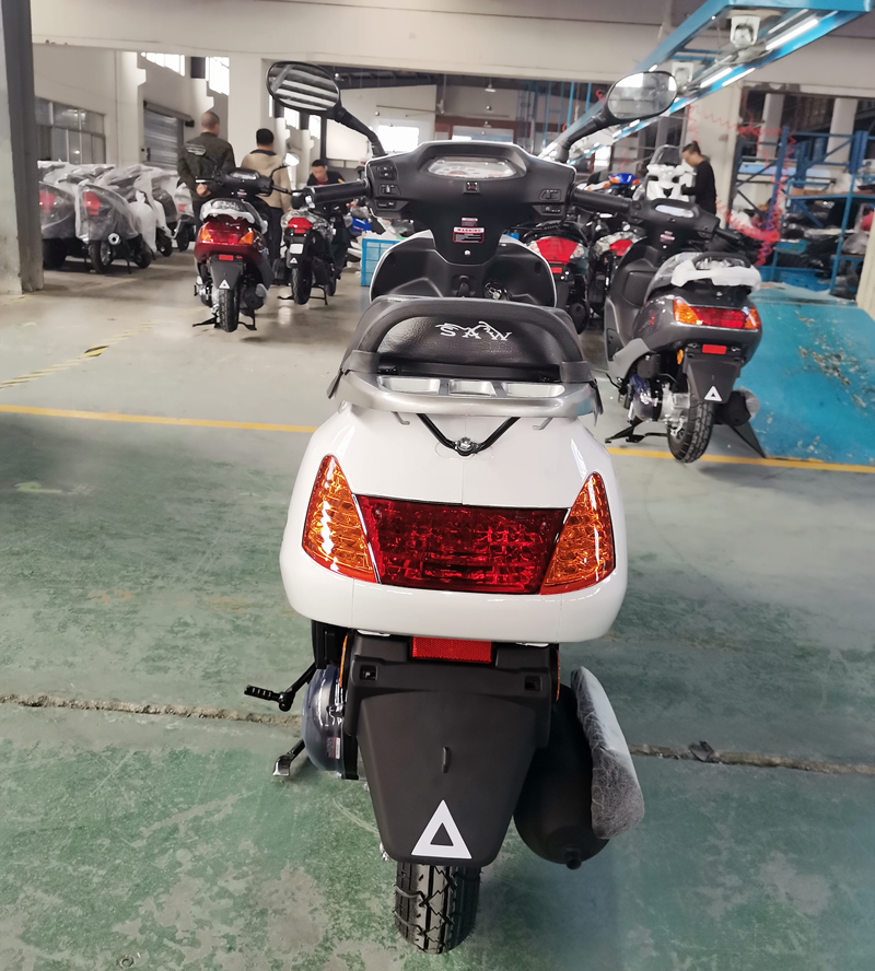 Rear view of the scooter showing taillights and turn signals.