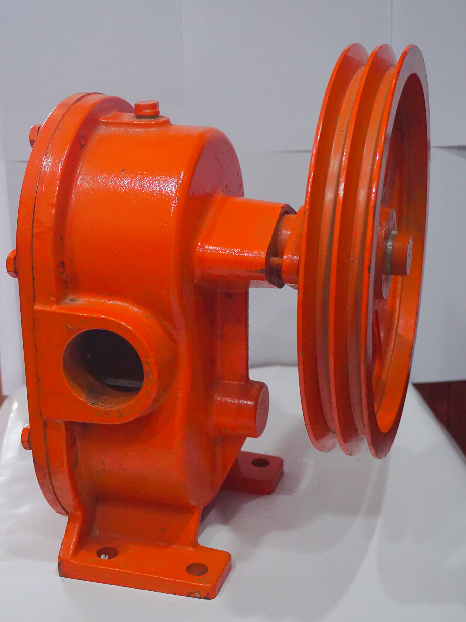 GC/GL GEAR PUMP - Image 2