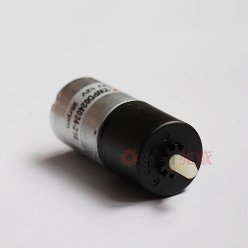 Miniature DC Gear Motor
