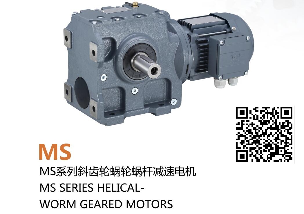 GEAR MOTOR - Image 3