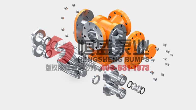 Exploded view of the LB series gear pump showcasing internal components