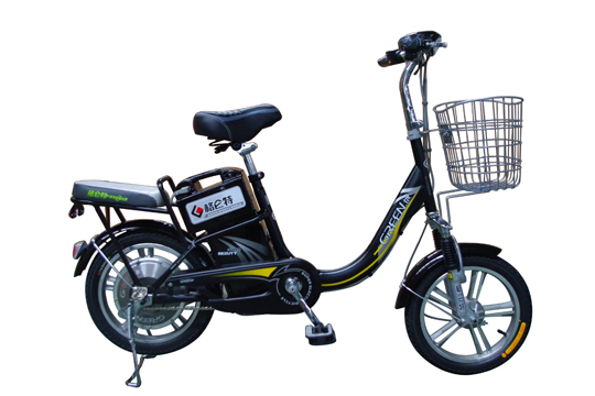 Electric Bicycle with Step-Through Frame