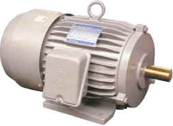 Industrial Electric Motor