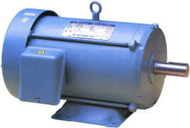 Industrial Electric Motor