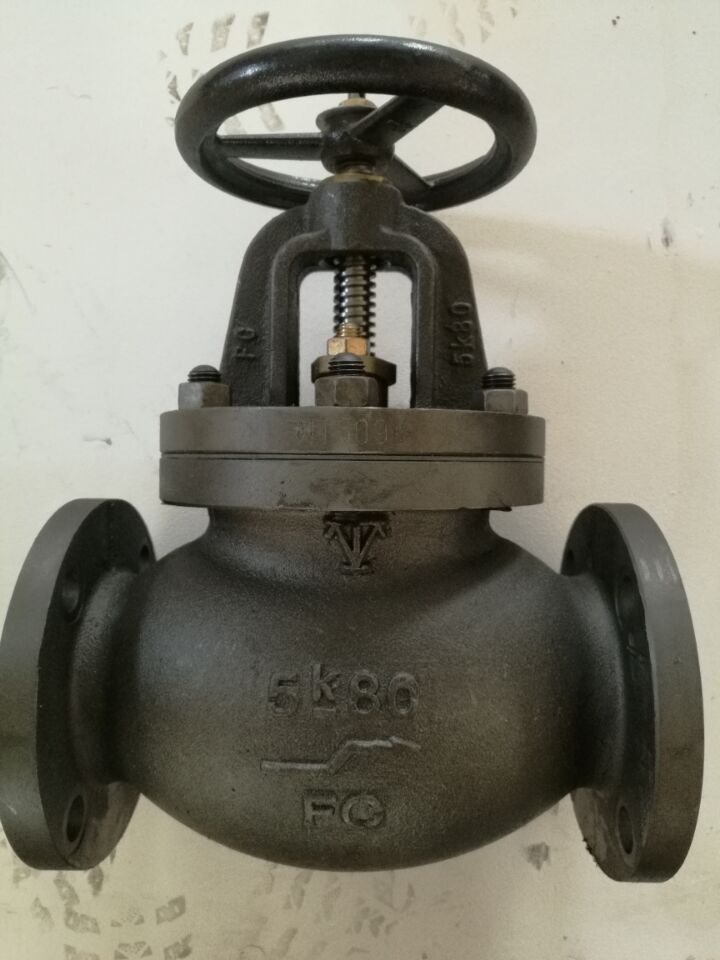 Cast Iron Globe Valve with Flanged Ends