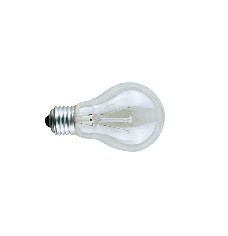 Frosted GLS Light Bulb