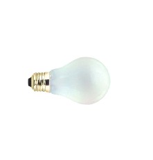 General Lighting Service Bulb