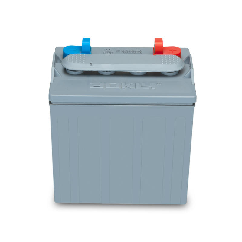 Golf Cart Battery - Image 2