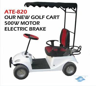 Electric Golf Cart with Canopy