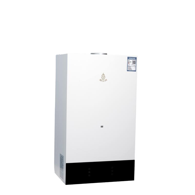 good quality Instant Gas Water Heater Wall Mounted Gas Boiler Spirit series - Image 2