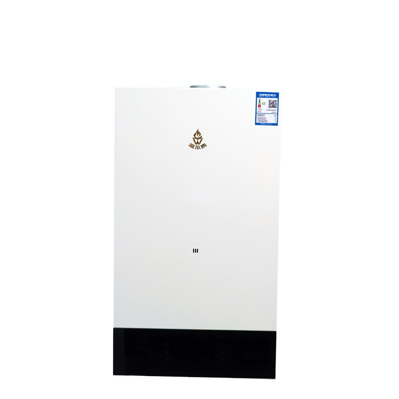 Wall Mounted Instant Gas Water Heater