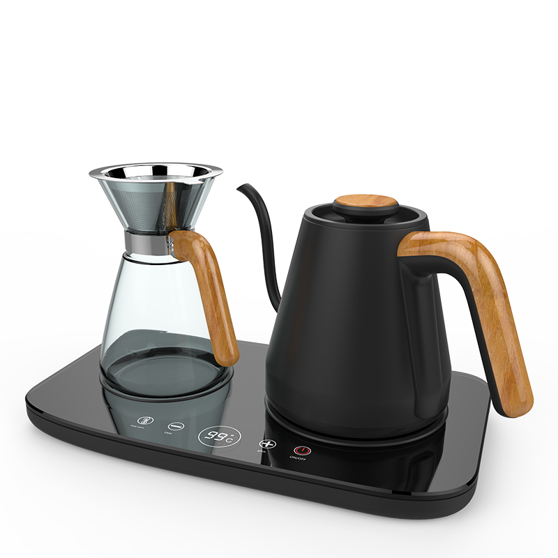Electric Gooseneck Kettle with Temperature Control