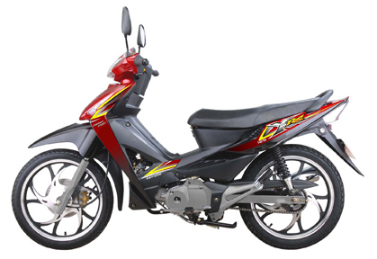 Motorcycle GPS Navigation System