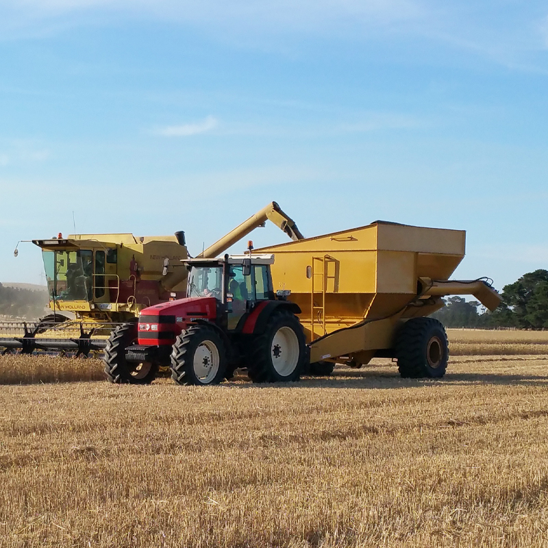 Grain cart being filled by a combine harvester in a field