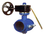 Grooved End Butterfly Valve for Fluid Control