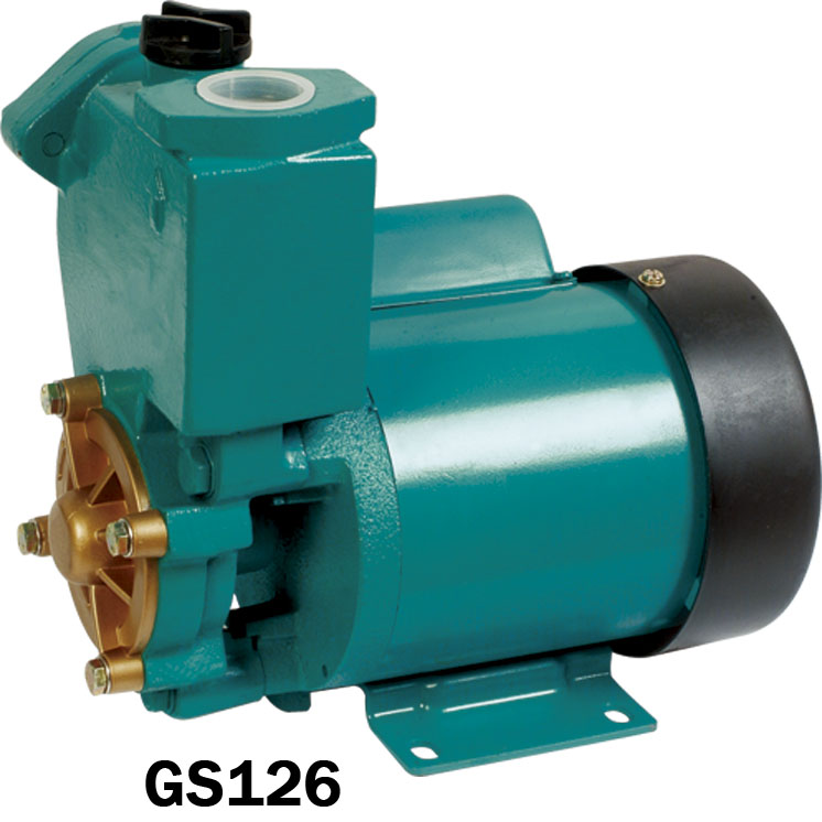 Self-Priming Pure Water Pump