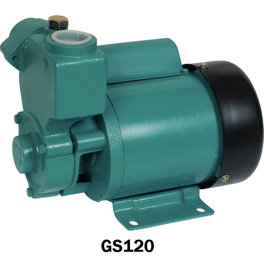 Self-Priming Pure Water Pump