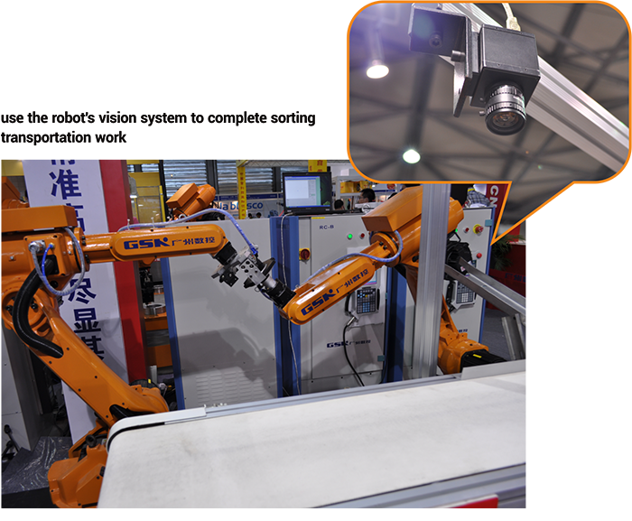 Machine Vision System for Identification and Measurement